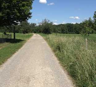 Eduard Lucas Musterobstgarten Mähringen