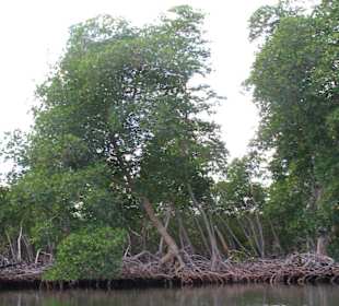 Nationalpark Los Haitises