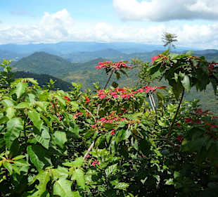 Landschaft am Mount Kinabalu