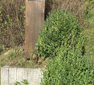 Bussen Schöpfungsweg Offingen