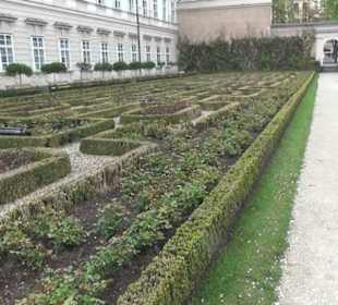 Mirabellgarten