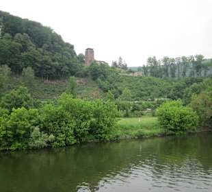 Schifffahrt auf dem Neckar