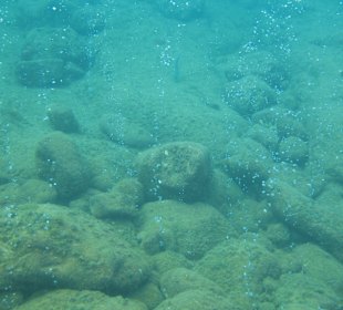 Champagner-Riff / Dominica 12 /13