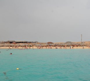 Schwimmen mit den Delfinen in Hurghada Egypt BookING.COM