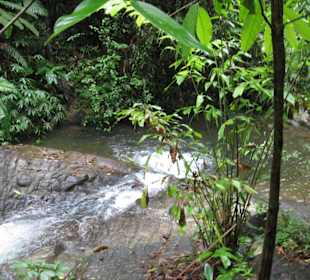 Becken am Wasserfall