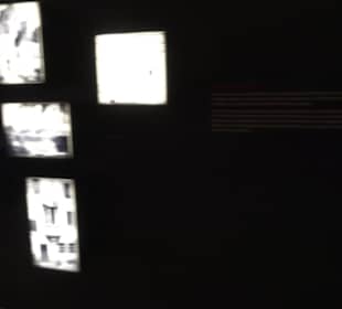 Rheinisches Landesmuseum