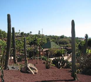 Blick über den Park
