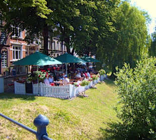 Ein Rundgang durch die "Rosenstadt" im Sommer 