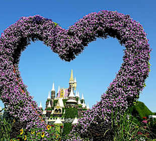 Miracle Garden