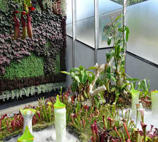 Stadtrundgang Sydney