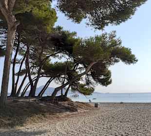 Strand Playa/Platja de Muro