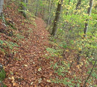 Premiumwanderweg "hochgehkeltert" Öschingen