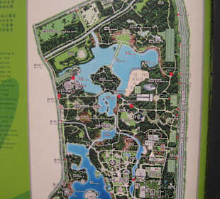 Chaoyang Park