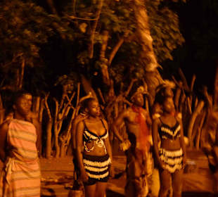 Krüger Nationalpark