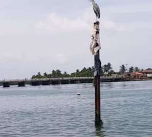 Negombo Tagesausflug