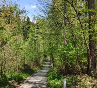 Hofwald