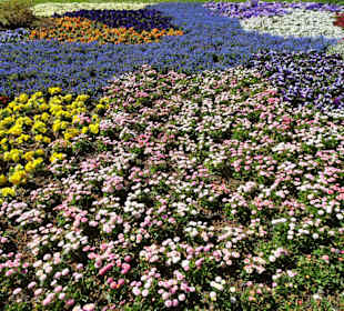 Impressionen vom Rundgang durch den Kurpark