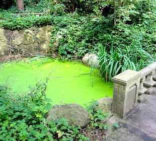 Spaziergang durch Thieles Garten