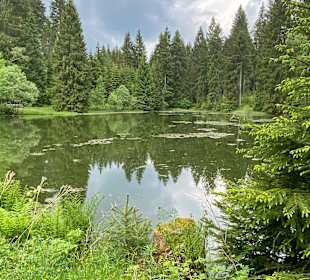 Wandern Klingenthal