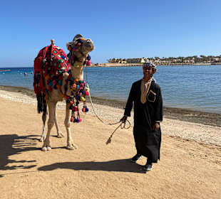 Strände Marsa Alam