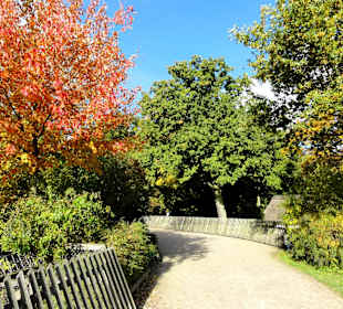 Herbstspaziergang durch den Bürgerpark Bremen