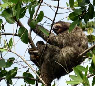 Relax Day Tour mit Federico. Eine kleine Auswahl