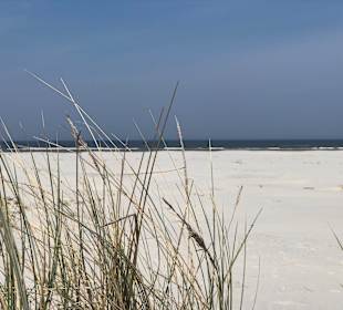 Strand Hollum/Ameland