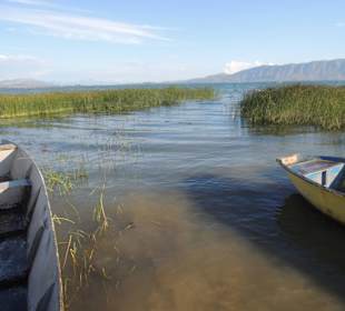 Jezioro Szkoderskie, Albania