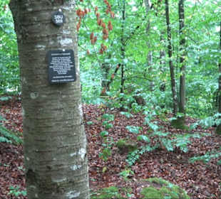 FriedWald Schönbuch