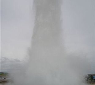 Strokkur in voller Pracht