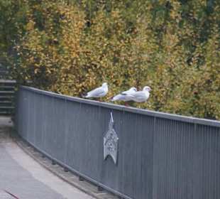 Parkanlage Planten un Blomen