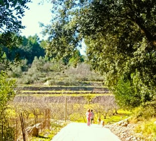 Wandern La Vall de Laguar