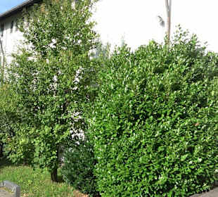 Kemnater Achsen-Rundgänge durch Kemnat