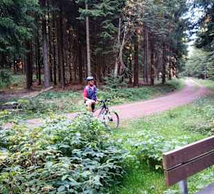 Wandern Nahetal-Waldau