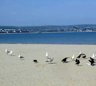 Strand Weymouth