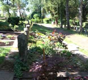 Friedhof Unterjesingen