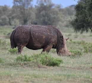 Geführte Touren Marco Polo Tours & Safaris Diani Beach