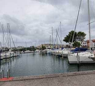 Zu den ganz großen kommt man nicht