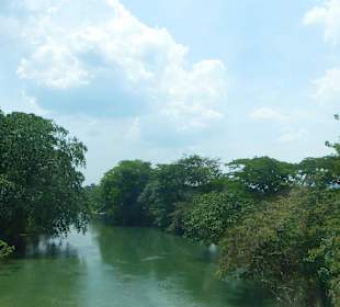 Hier noch recht grünes Wasser