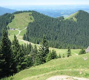 Wanderwege auf dem Hörnle