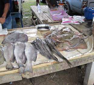 Fisch