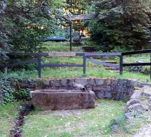 Natur und Vogellehrpfad Längwieser Wald Dittweiler