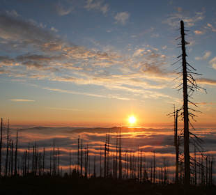 Sonnenuntergang im Böhmerwald