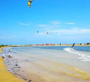 Strand Bibione 06_2011