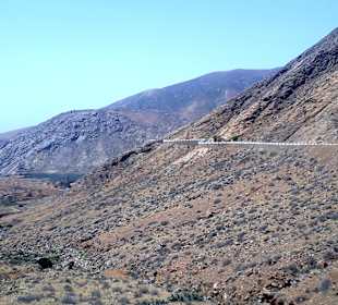 Inselrundfahrt Tagestour