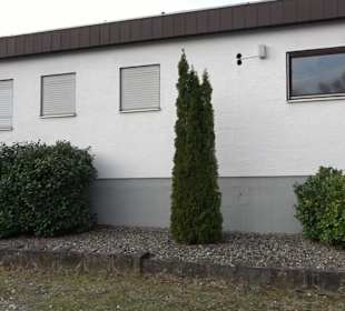 Tennisplatz Neckarhausen