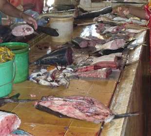 Fischmarkt in Negombo