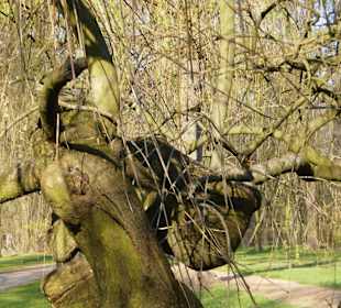 Łazienki Królewskie