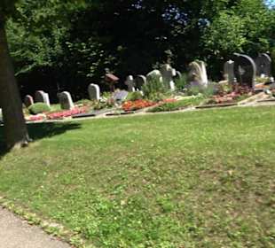 Friedhof Holzelfingen