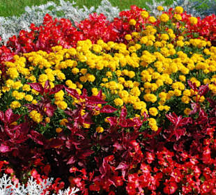 Was für eine Pracht!